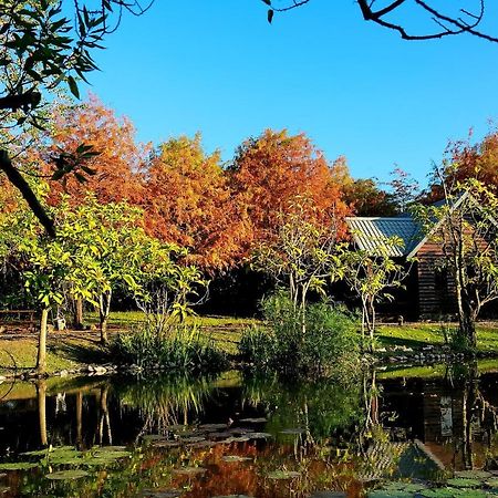 Green Forest Villa Yilan Zewnętrze zdjęcie